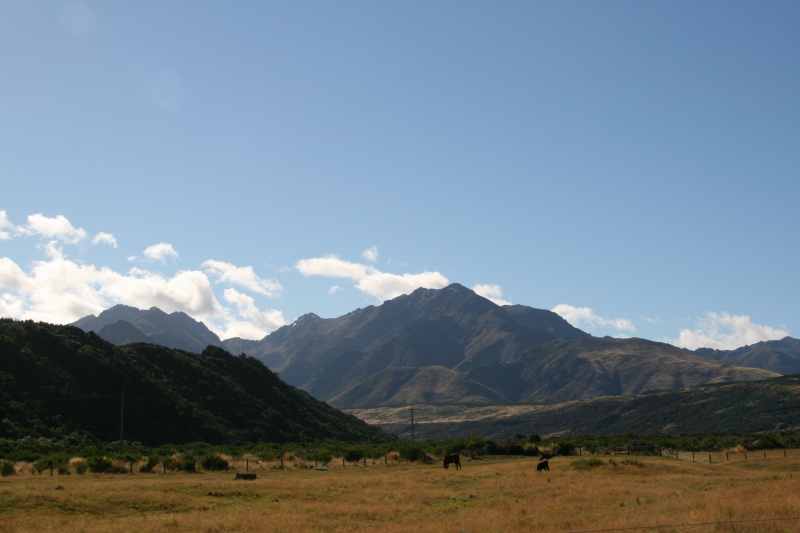 Nieuw-Zeeland 2011 - 1739